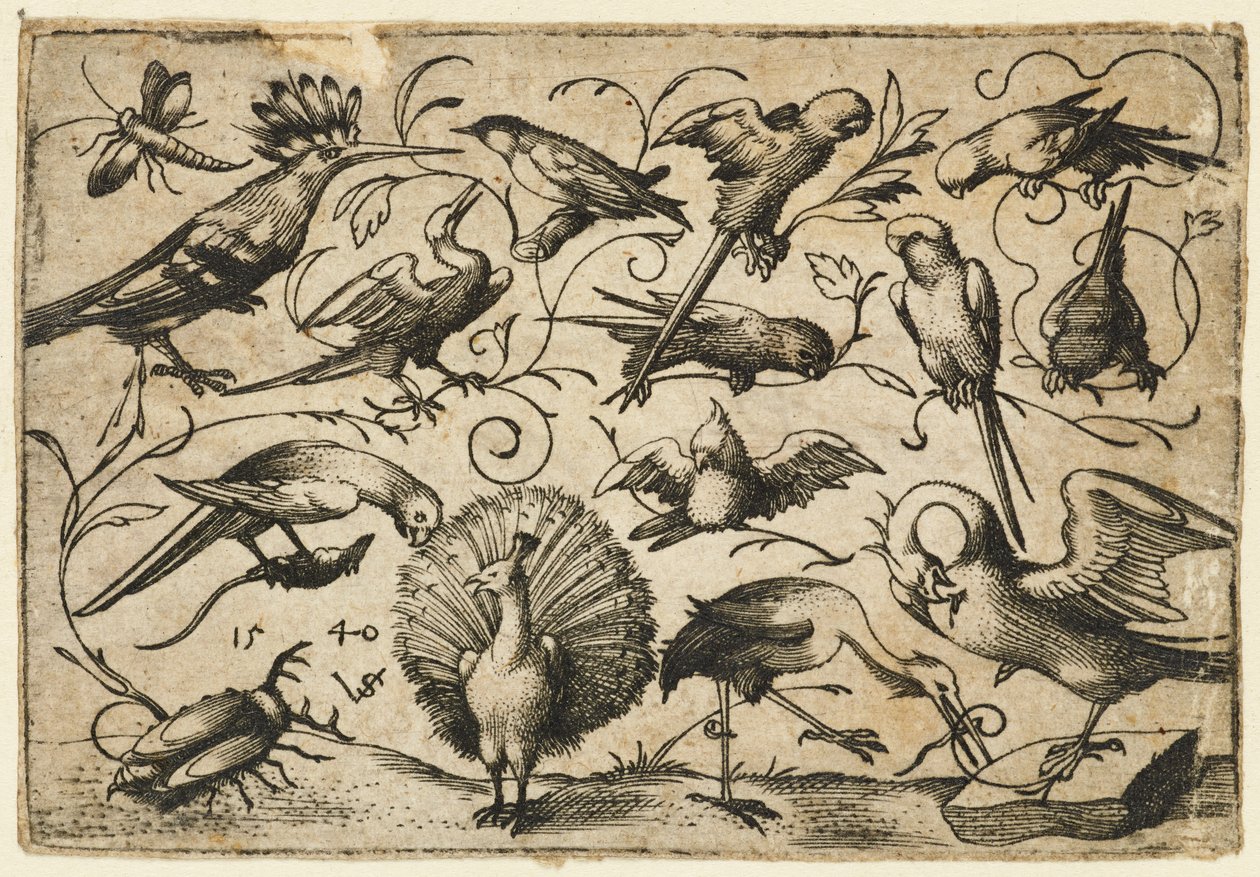 Tien vogels op kleine loofranken met een ooievaar die een rank om het been van een pelikaan bindt..., 1540 door Virgil Solis