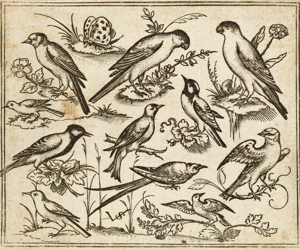 Elf vogels zittend op bloeiende takken en kleine takjes met een vlinder door Virgilius the elder (after) Solis