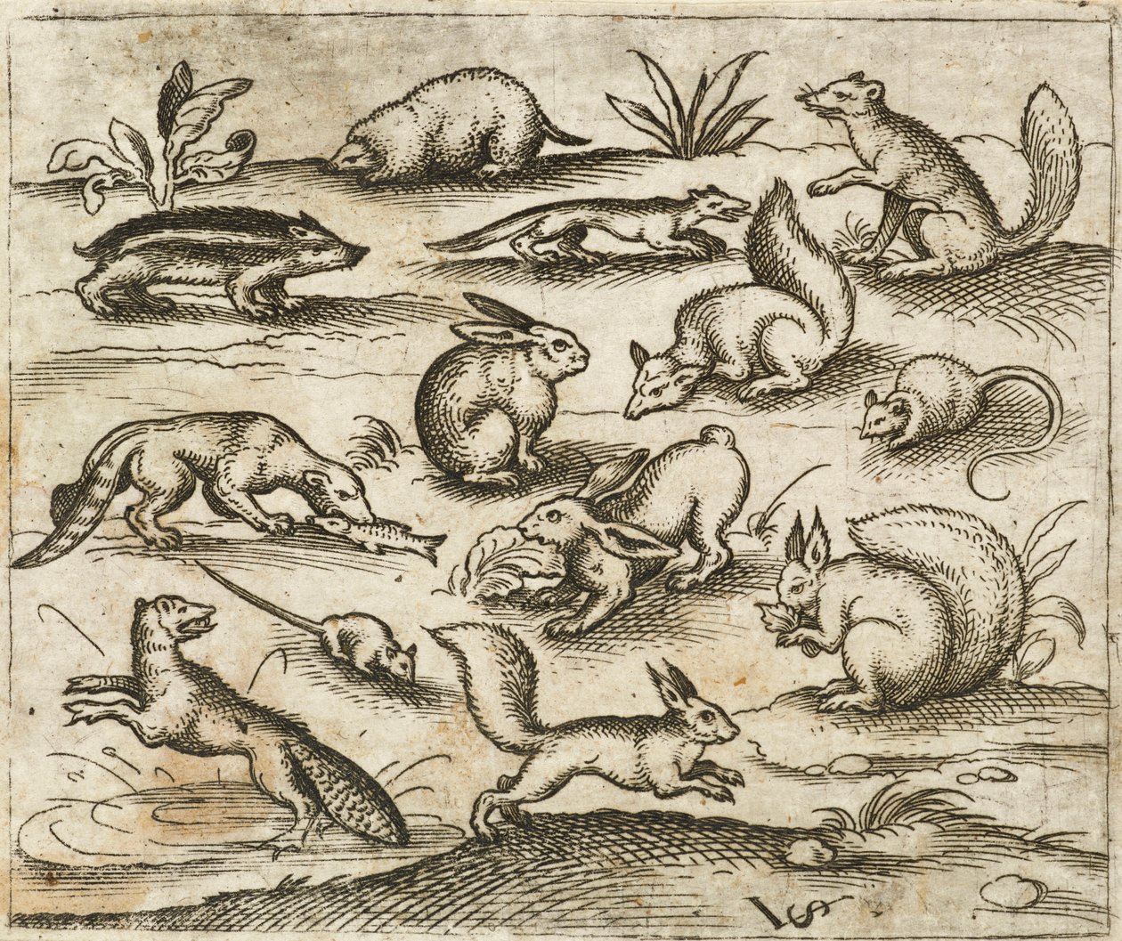 Groep kleine bosdieren die rond een vijver eten en rennen, waaronder muizen, een konijn, een eekhoorn, een wasbeer, een bosmarmot, een fret, een marter en een das door Virgilius the elder (after) Solis