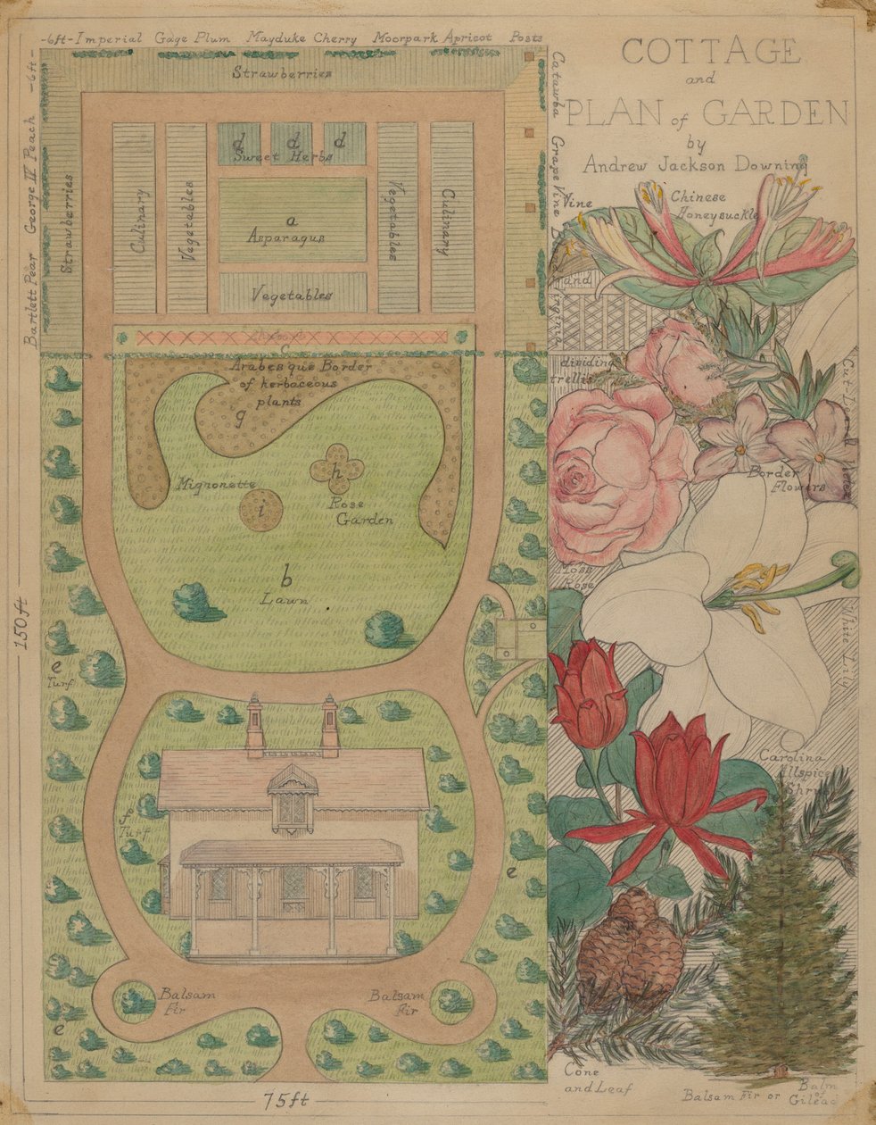 Grondplan voor Cottage, ca. 1936 door Virginia Richards