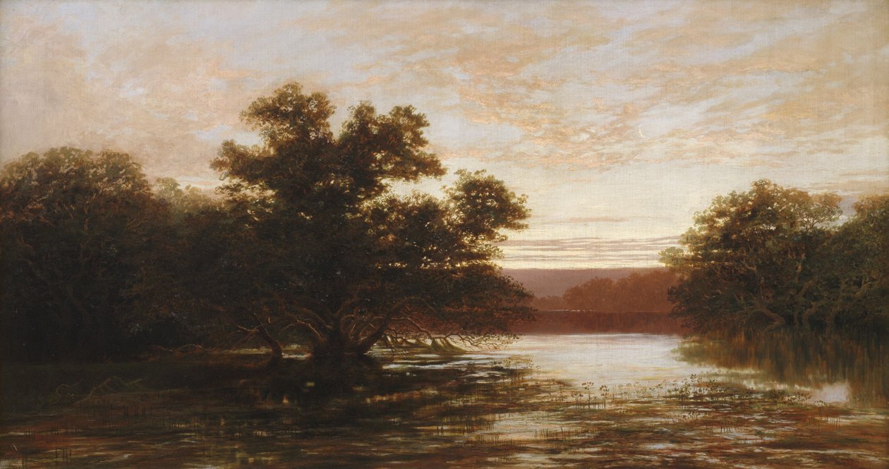 Een Australische mangrove, eb door W.C. Piguenit