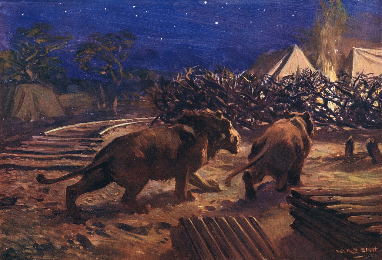 De vijand van de spoorwegarbeider door W.R.S. Stott