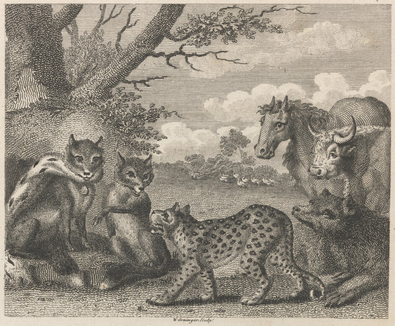 De leeuw, de vos en de ganzen door W. Grainger