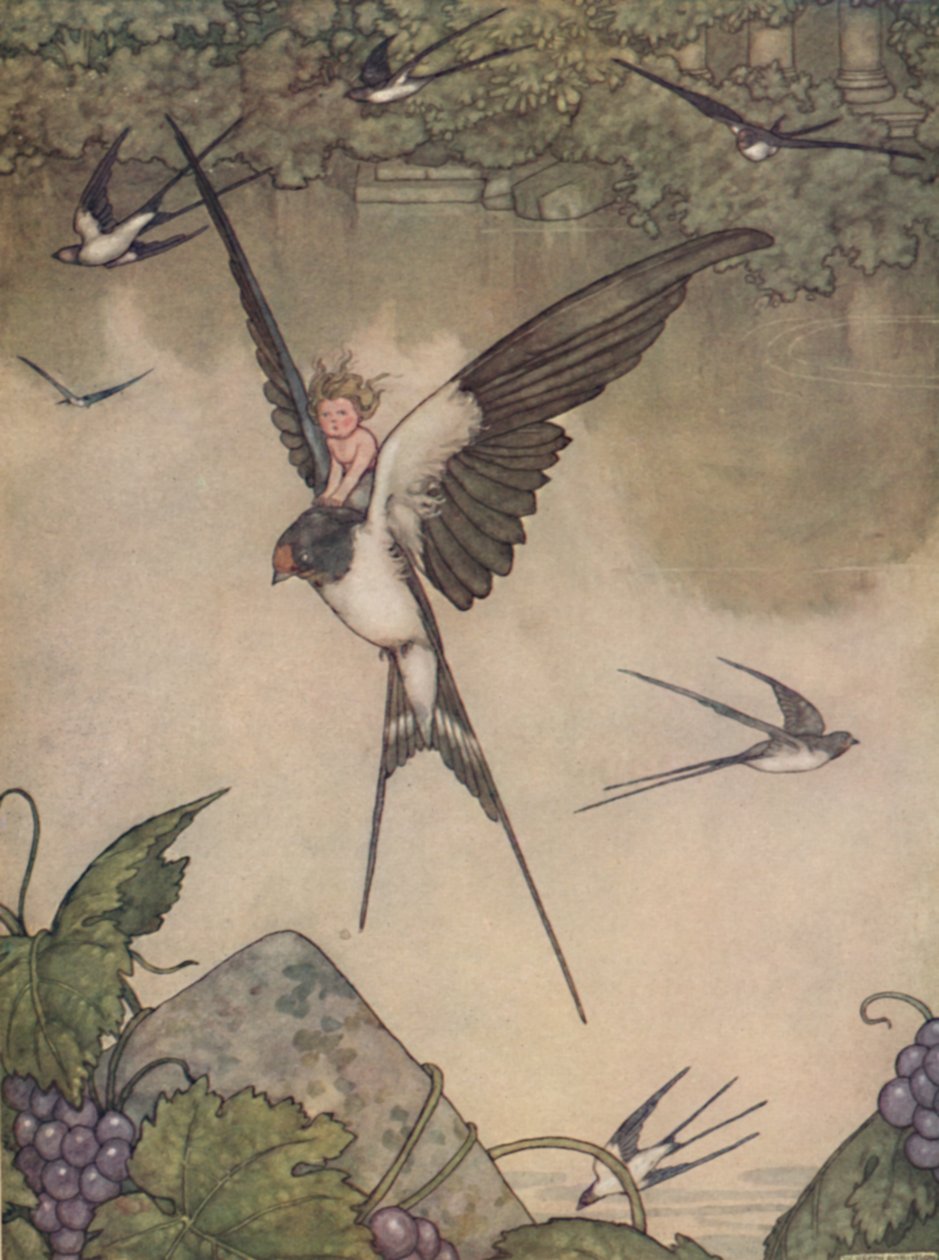 Ja, ik zal met je meegaan! zei Tommelise, ca. 1930 door William Heath Robinson