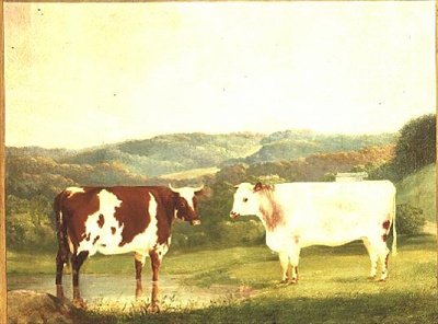 Vee tegen een Landschap door W. J. Chapman