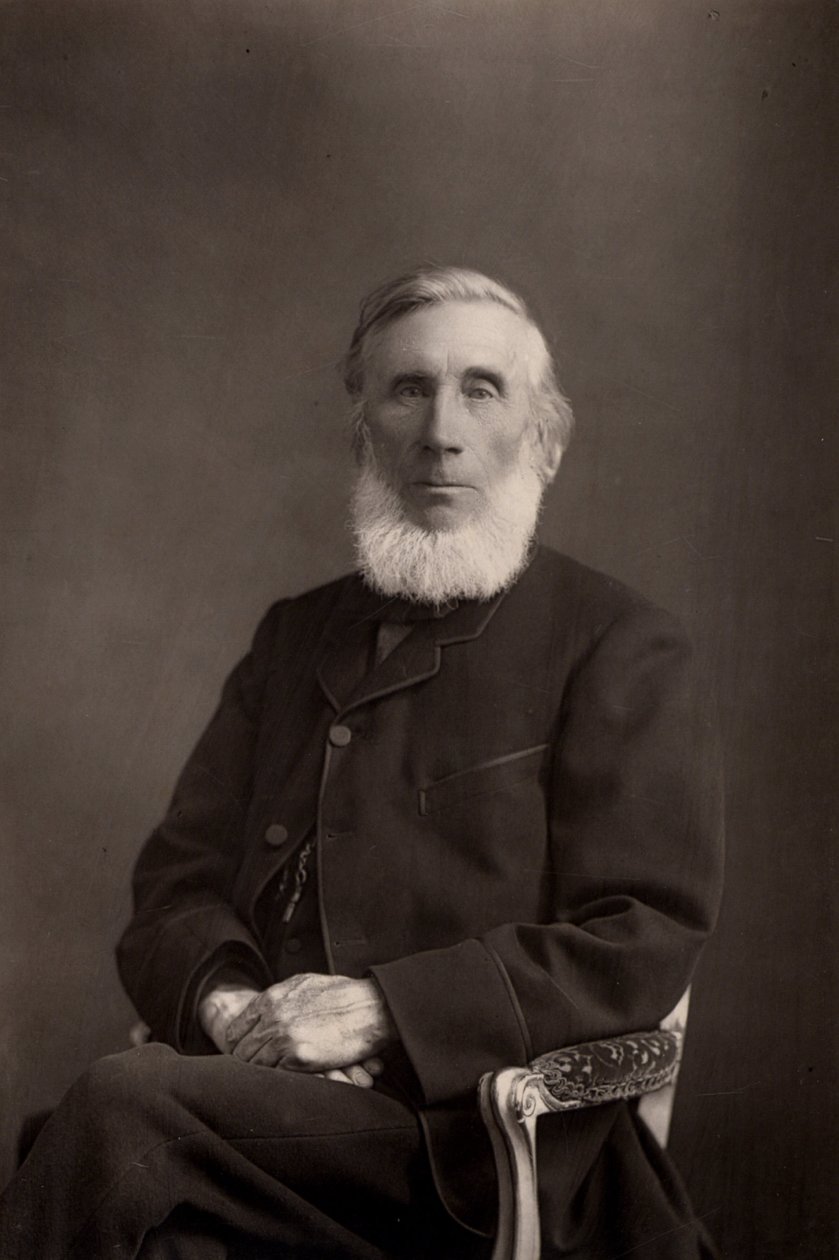John Tyndall (1820-1893) Iers-gebore Britse natuurkundige door W. and D. (after) Downey