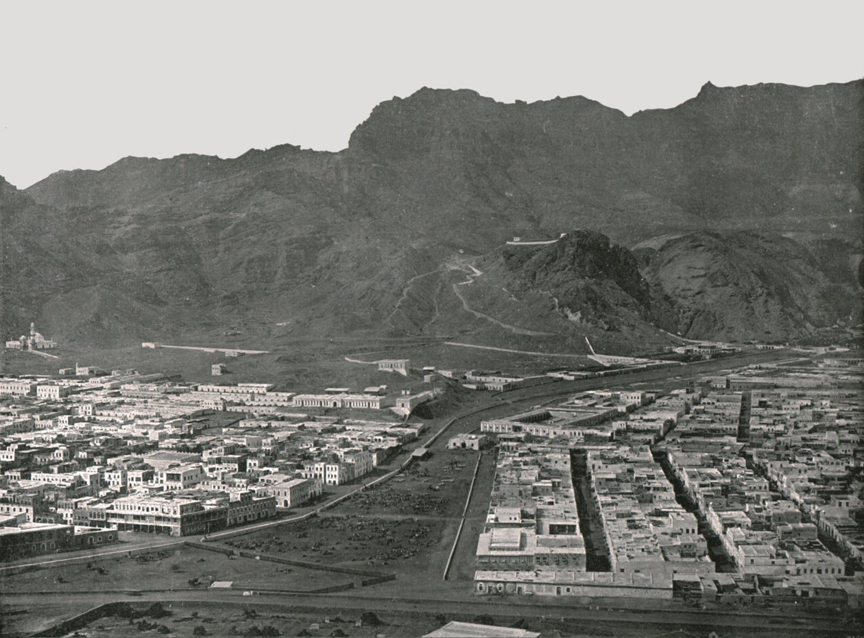 Algemeen overzicht van de kamelenmarkt, Aden, 1895 door W and S Ltd