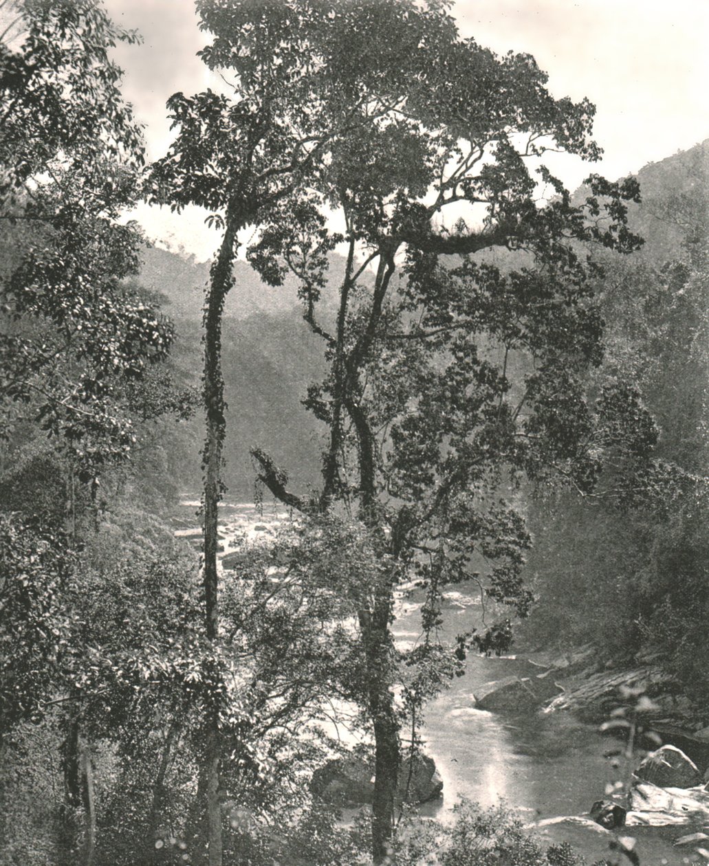 Uitzicht op de Kelani-rivier, Kurunegala, Ceylon, 1895 door W and S Ltd