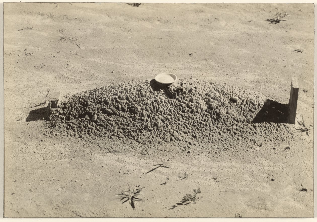Een doopsgezind graf, Hale County, Alabama door Walker Evans