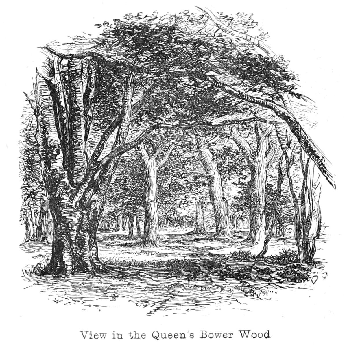 Uitzicht in het Queens Bower Bos door Walter Crane