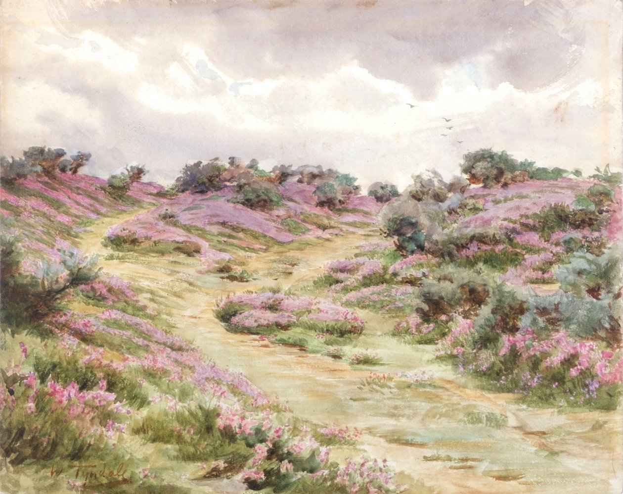 Dopheide op Setley Plain door Walter Frederick Roofe Tyndale