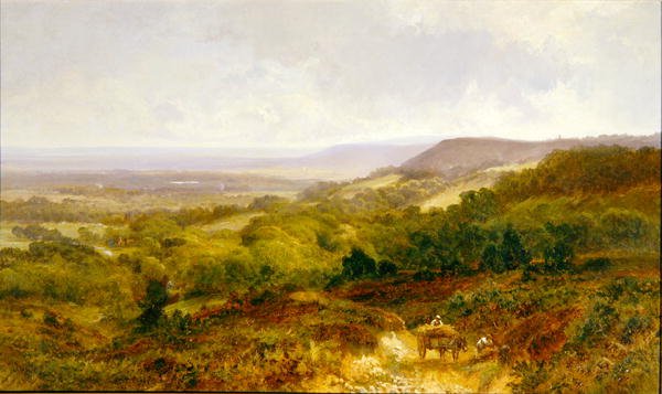 Het Weald van Surrey door Walter Wallor Caffyn
