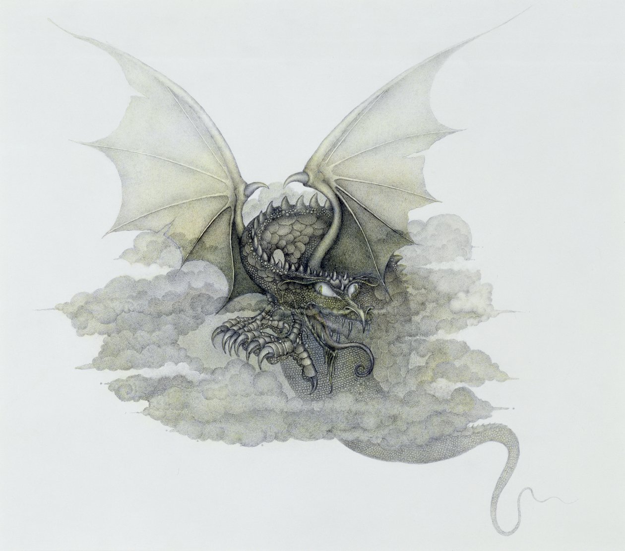 Een draak die op wolken lijkt door Wayne Anderson