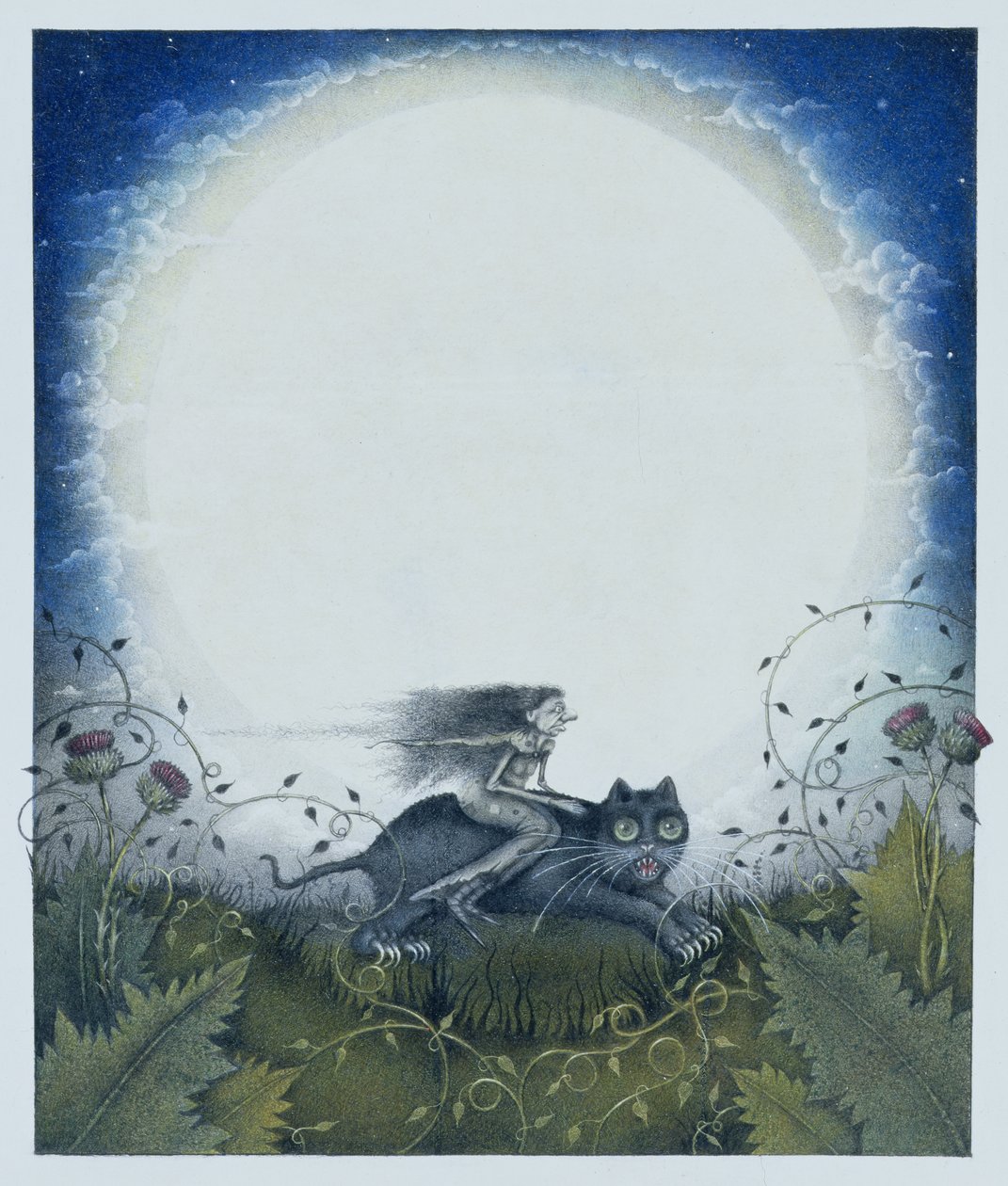 Schotse heks op een zwarte kat (potlood en kleurpotlood op papier) door Wayne Anderson