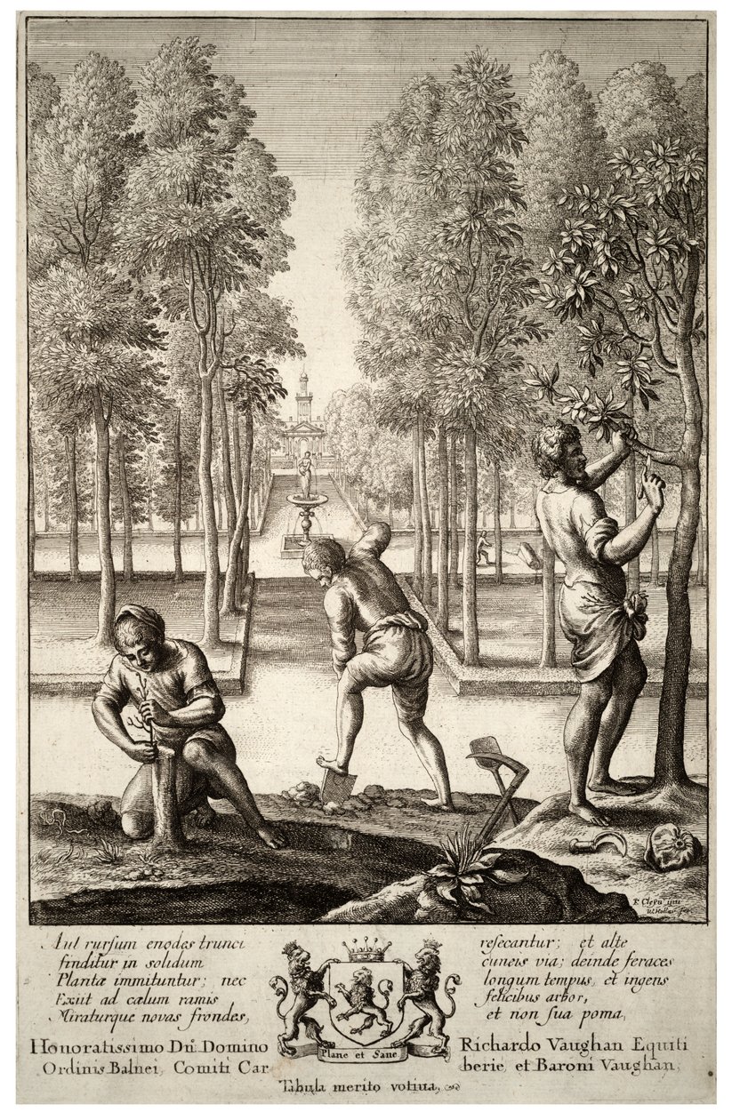 Tuinieren. Staat 1 door Wenceslaus Hollar