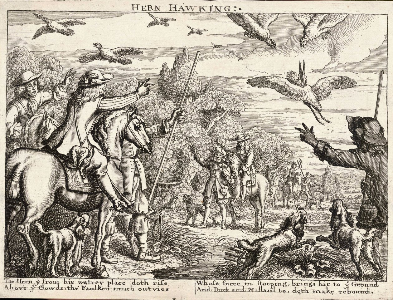 Reiger jagen door Wenceslaus Hollar