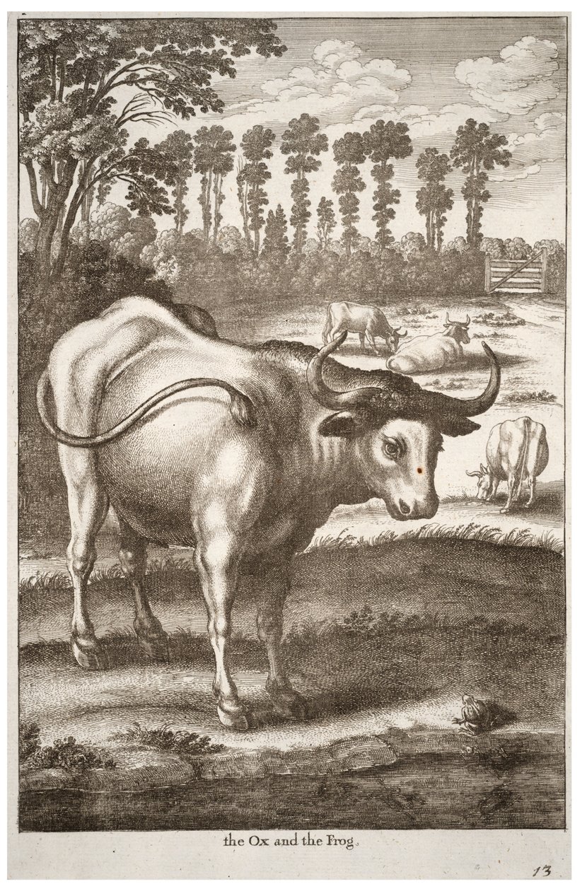 Os en kikker door Wenceslaus Hollar