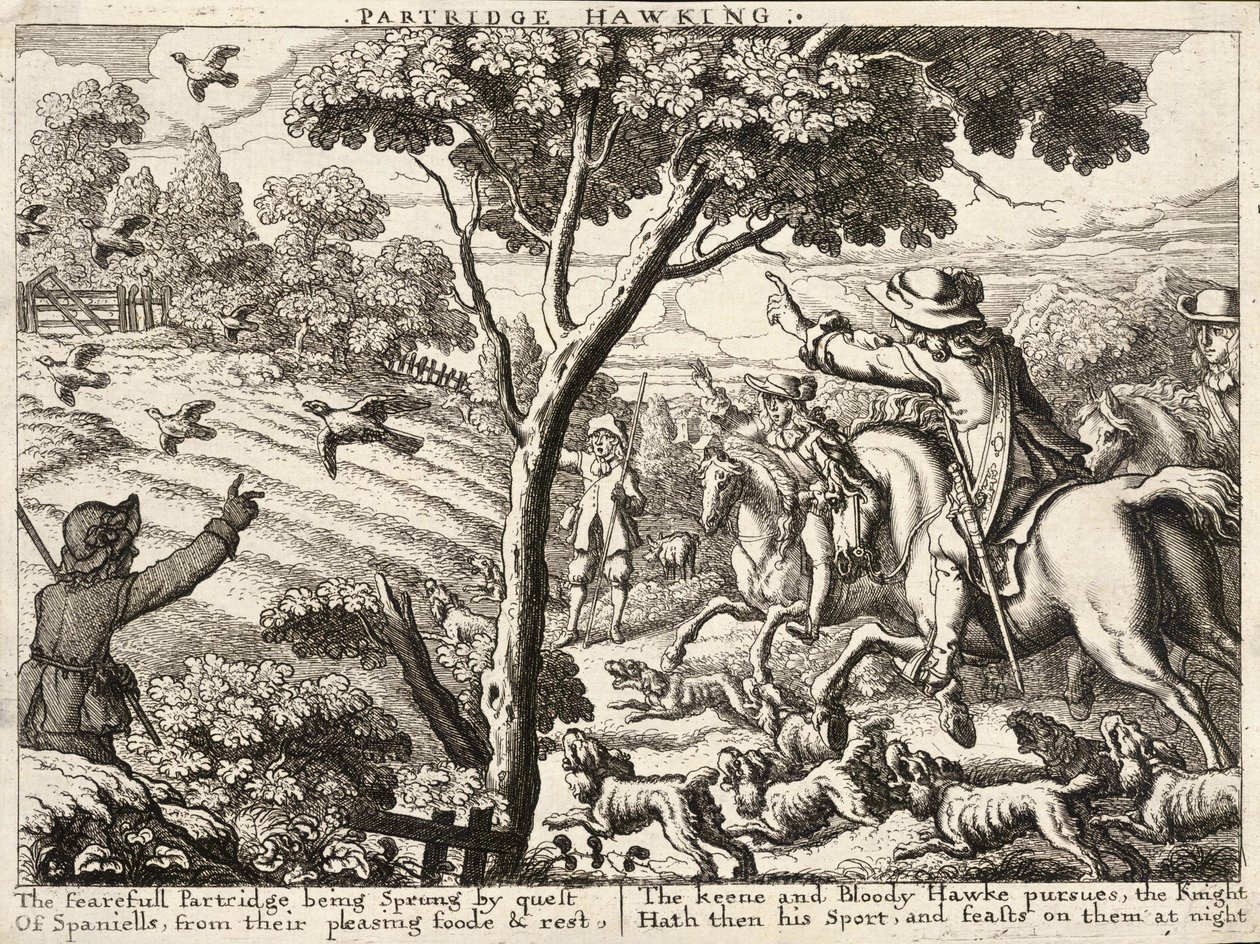 Patrijzenjacht door Wenceslaus Hollar