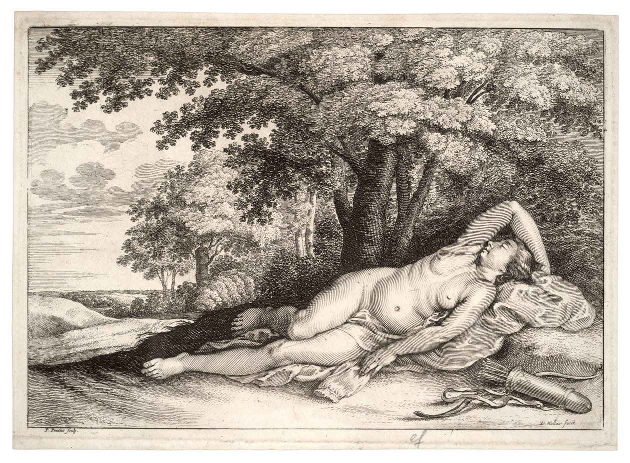 Slapende jageres. Staat 2 door Wenceslaus Hollar
