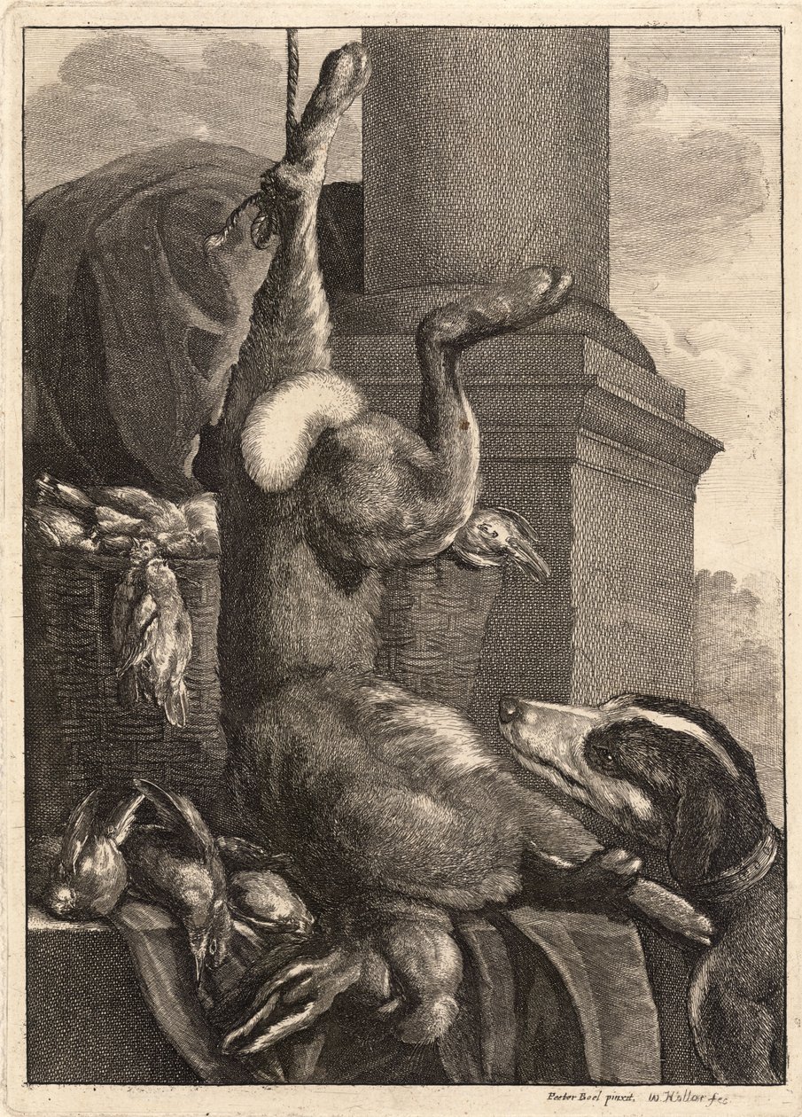 De dode haas. Staat 3 door Wenceslaus Hollar