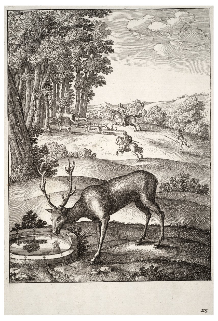 Het hert. Staat 2 door Wenceslaus Hollar