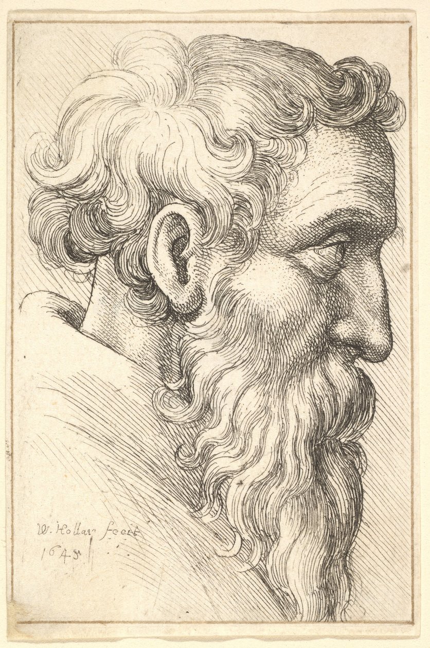 Bejaarde man met baard in profiel naar rechts, 1645 door Wenceslaus Hollar