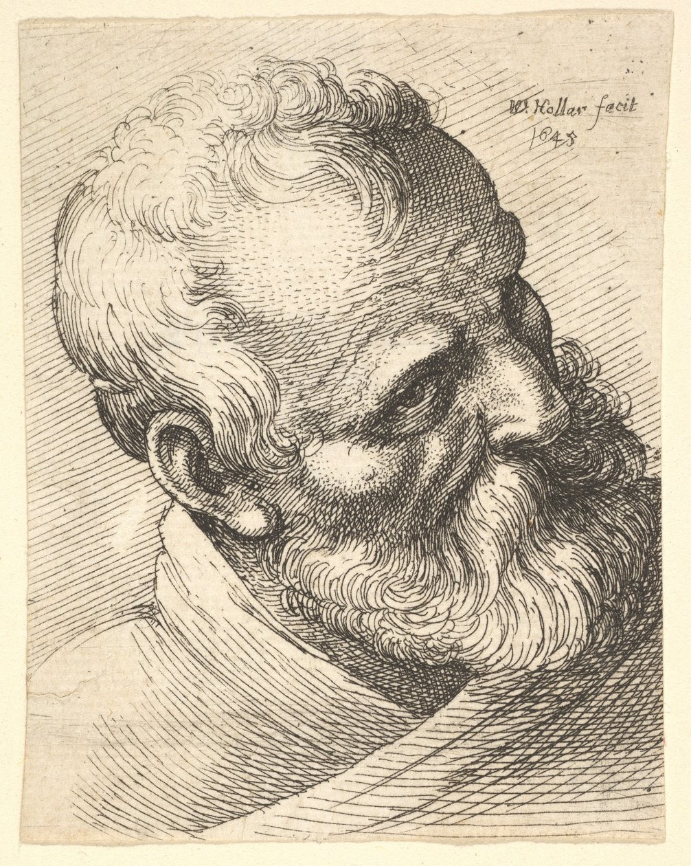 Een bebaarde oude man met zijn hoofd schuin door Wenceslaus Hollar