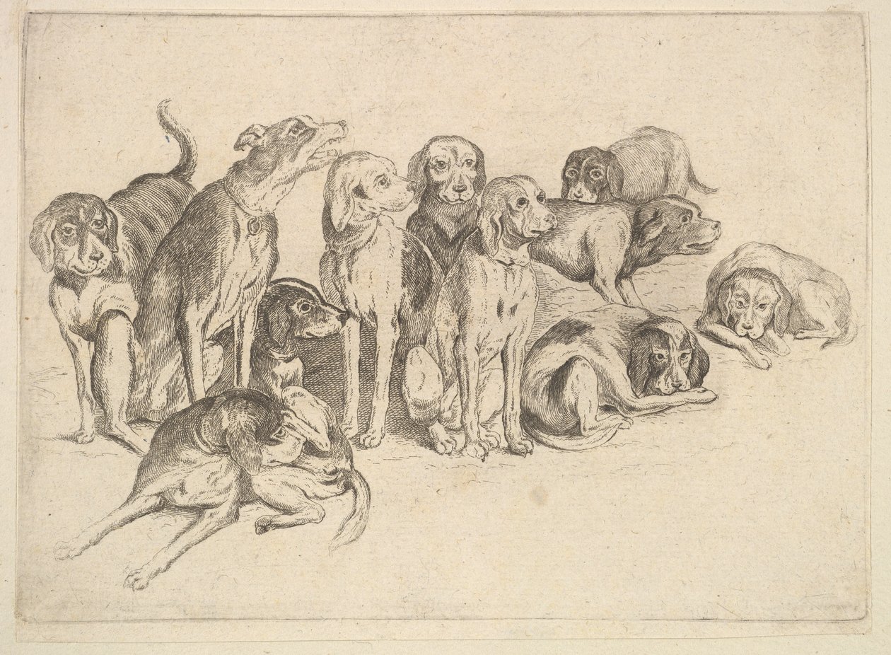 Elf honden door Wenceslaus Hollar
