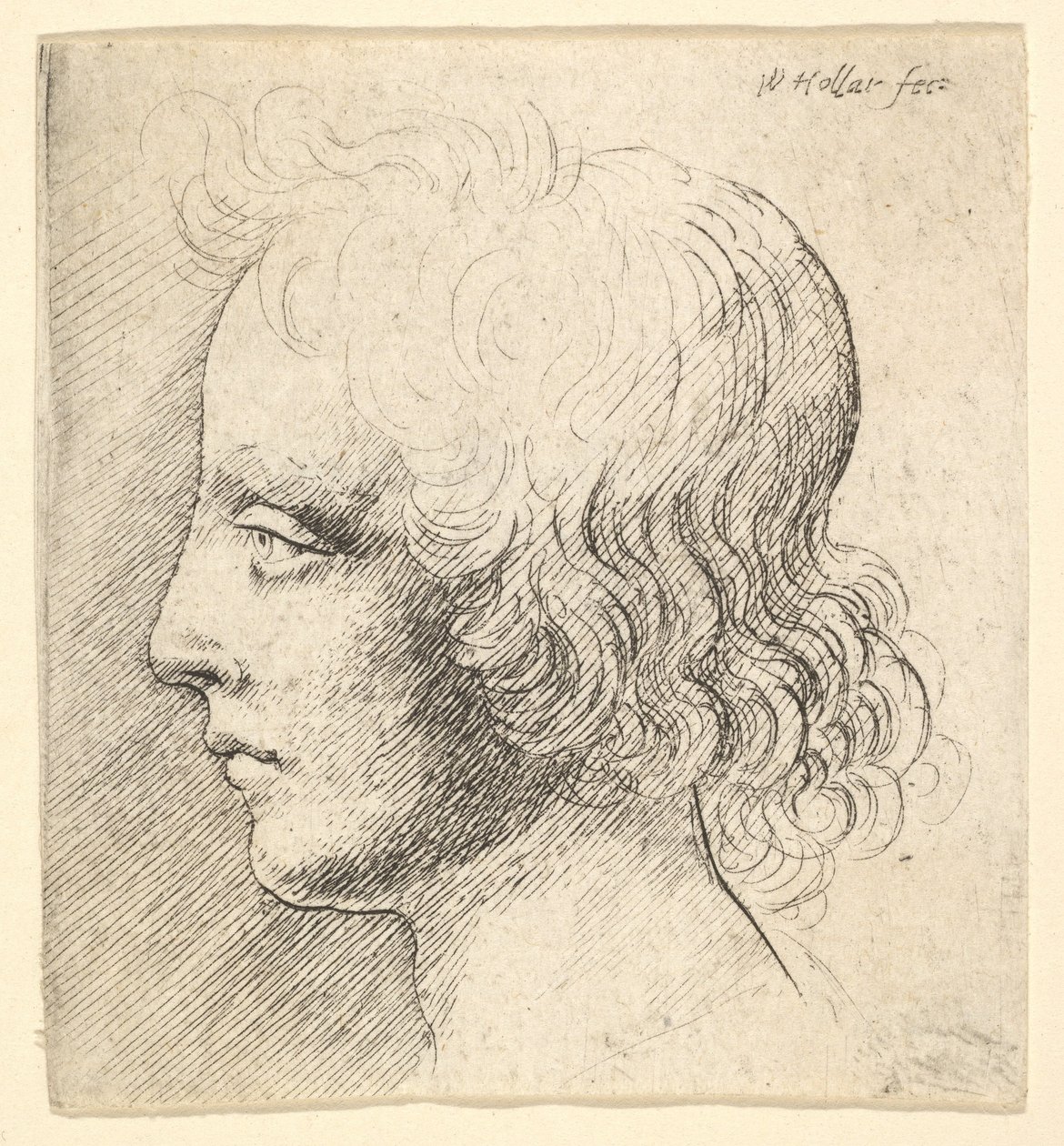 Hoofd van een jonge man door Wenceslaus Hollar