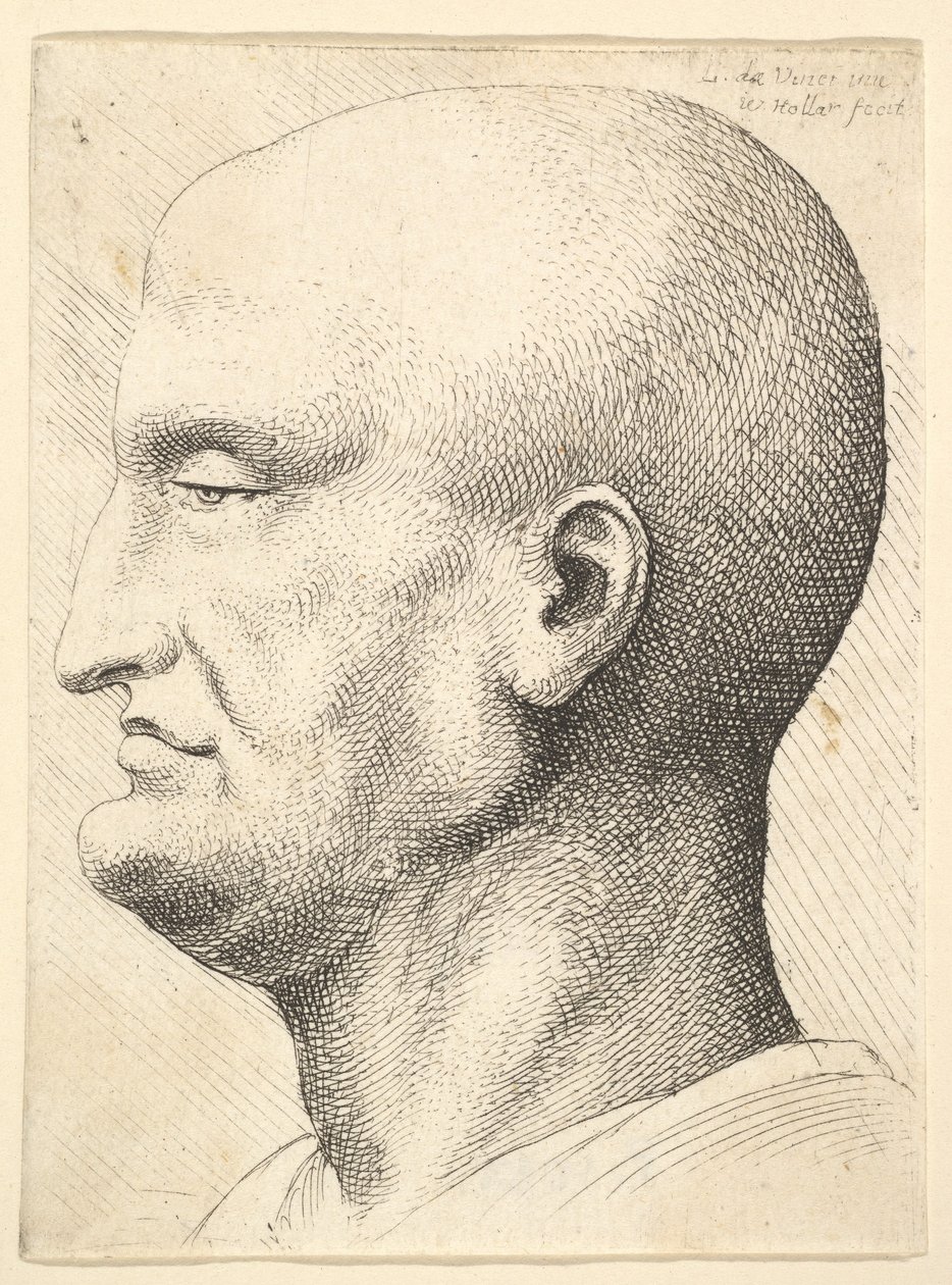 Hoofd van een kale man in profiel naar links, 1644-52 door Wenceslaus Hollar