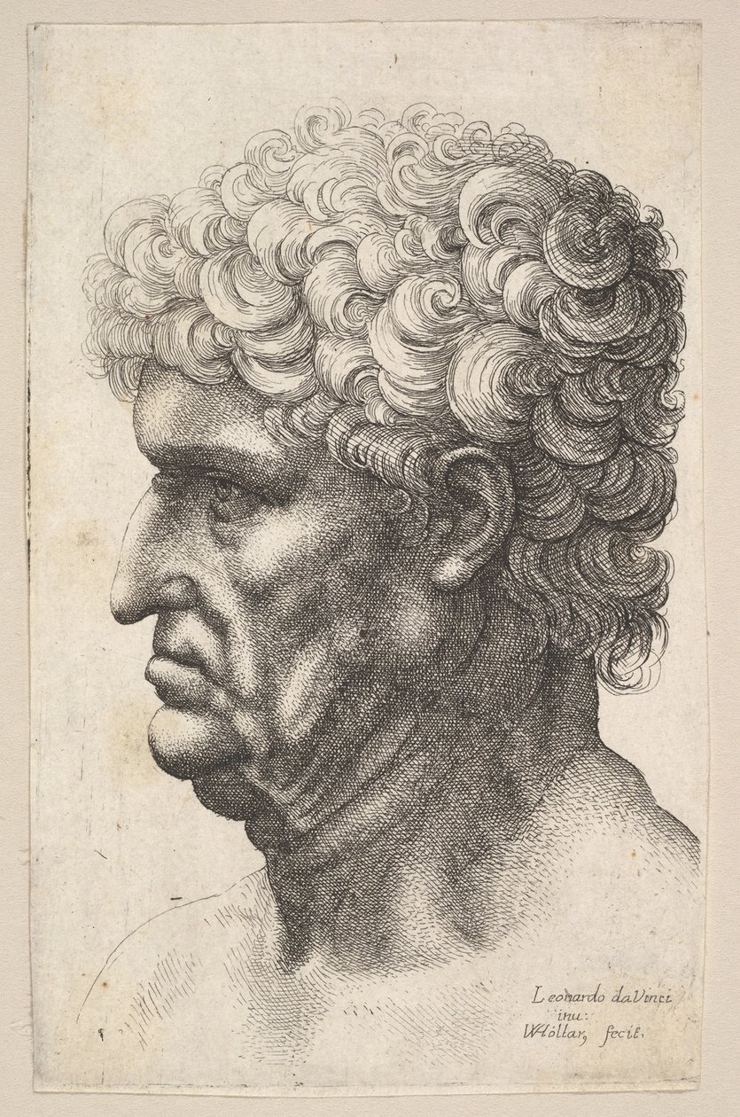 Hoofd van een man met dik krullend haar in profiel naar links door Wenceslaus Hollar