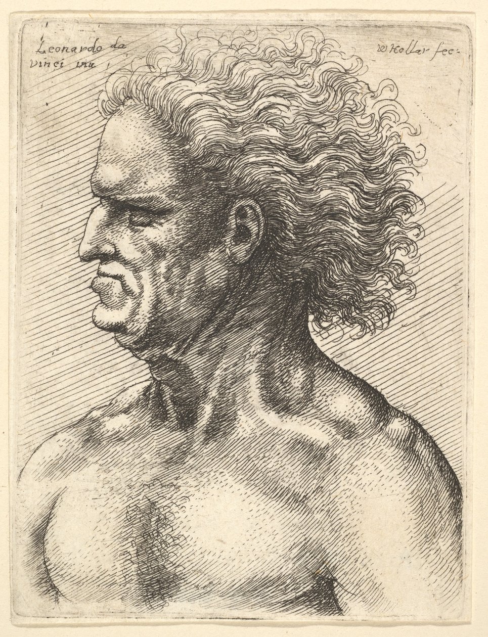 Hoofd van een gespierde oude man in profiel naar links met vloeiend haar, 1625-77 door Wenceslaus Hollar