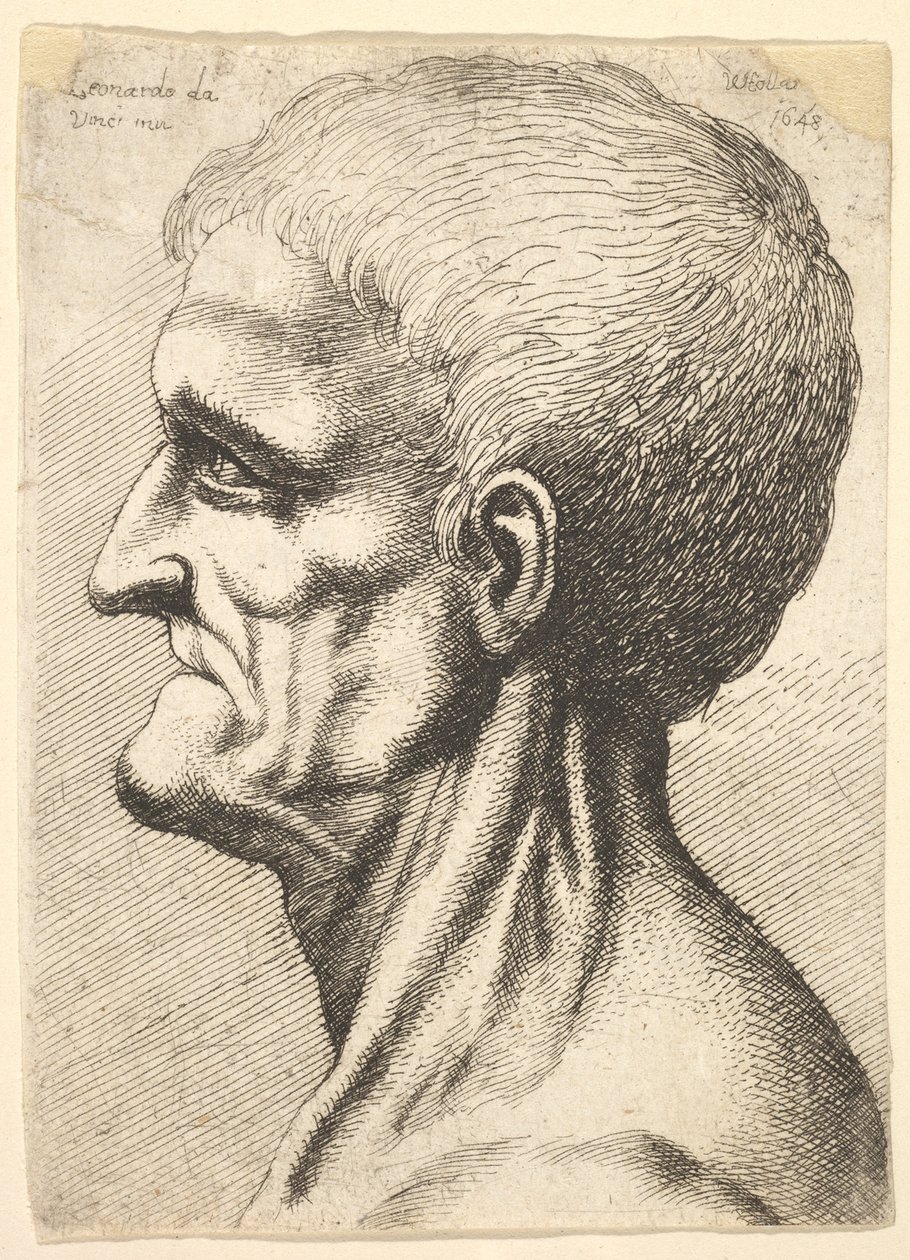 Hoofd van een tandeloze man met blote, pezig nek in profiel naar links, 1648 door Wenceslaus Hollar