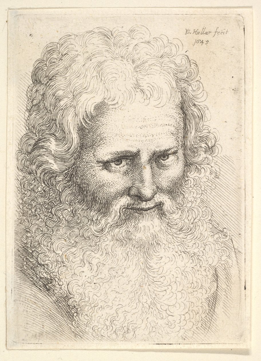 Kop van een oude man met een grote baard door Wenceslaus Hollar