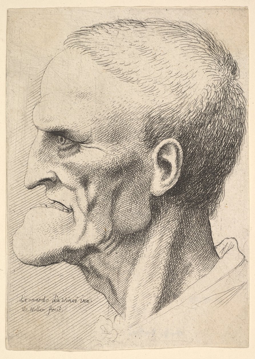 Hoofd van een oude man met een uitgesproken kin, kort geknipt haar en gapende mond, 1625-77 door Wenceslaus Hollar