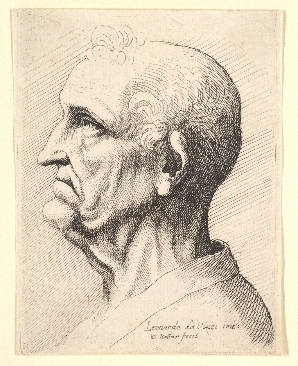 Hoofd van een oude man met krullend haar rond het oor in profiel naar links door Wenceslaus Hollar