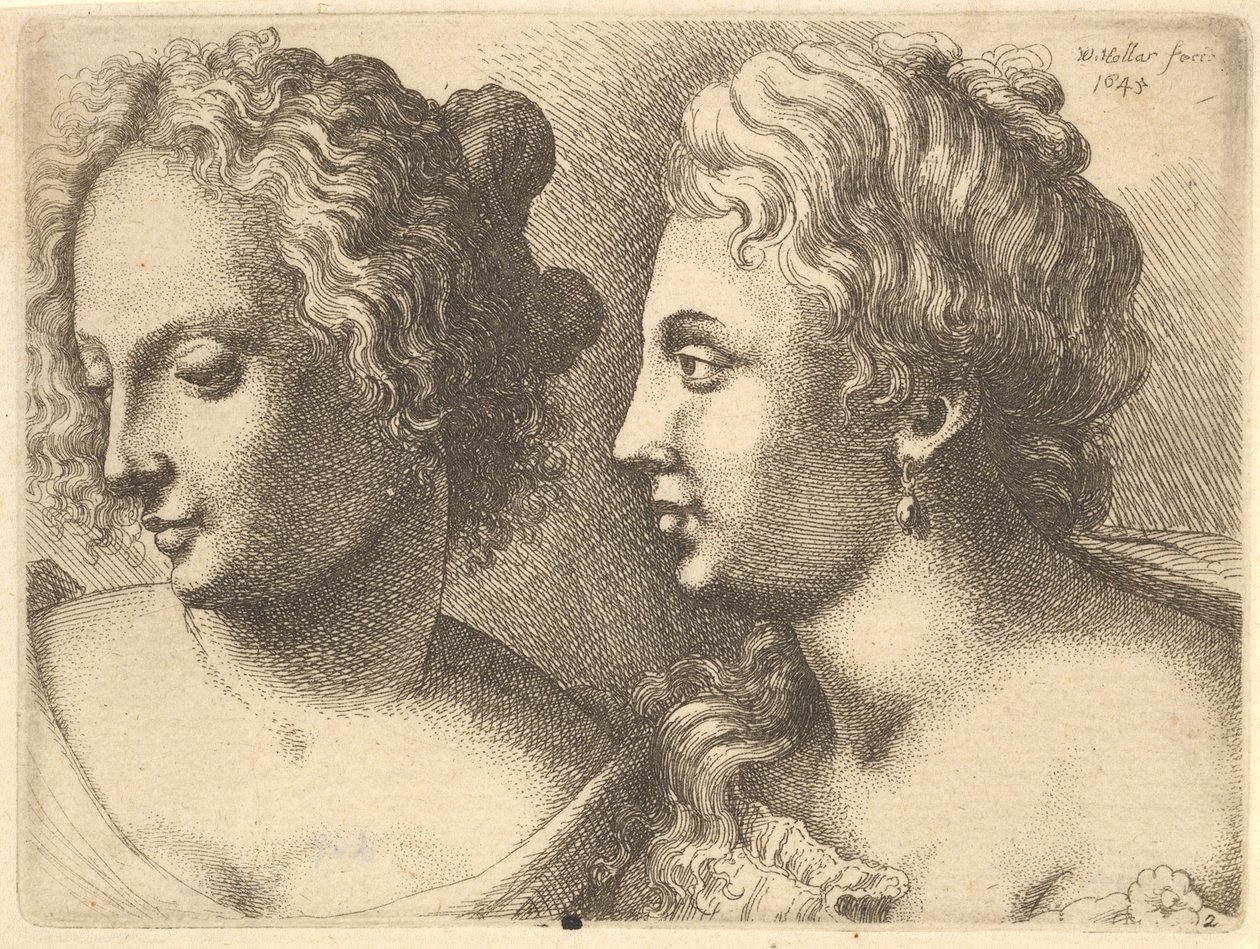 Hoofden van twee jonge vrouwen door Wenceslaus Hollar
