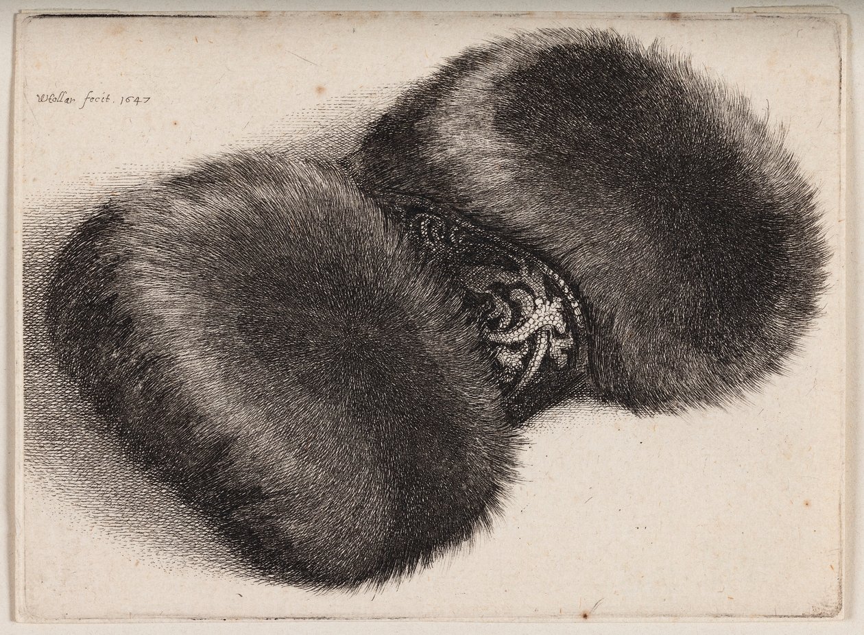 Bontmof met een met brokaat bekleed lint door Wenceslaus Hollar