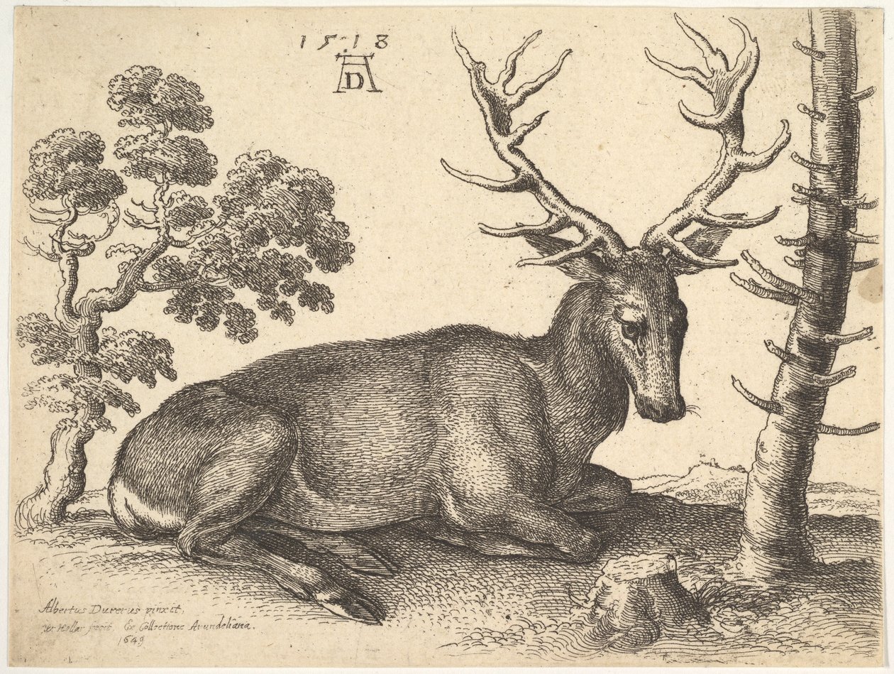 Hert liggend naar rechts door Wenceslaus Hollar