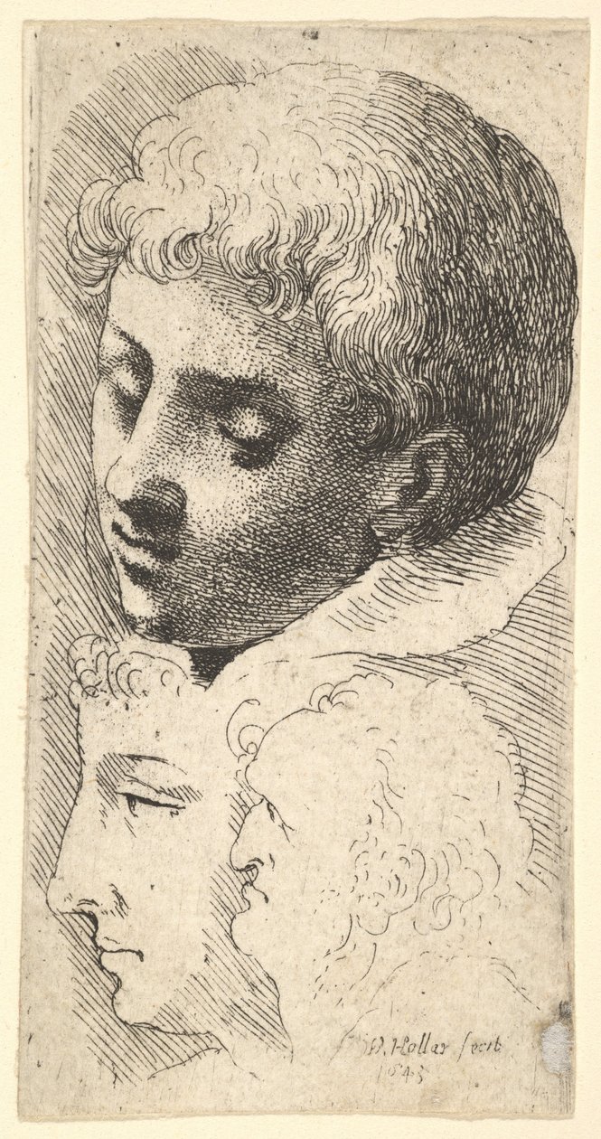 Drie hoofden, 1645 door Wenceslaus Hollar