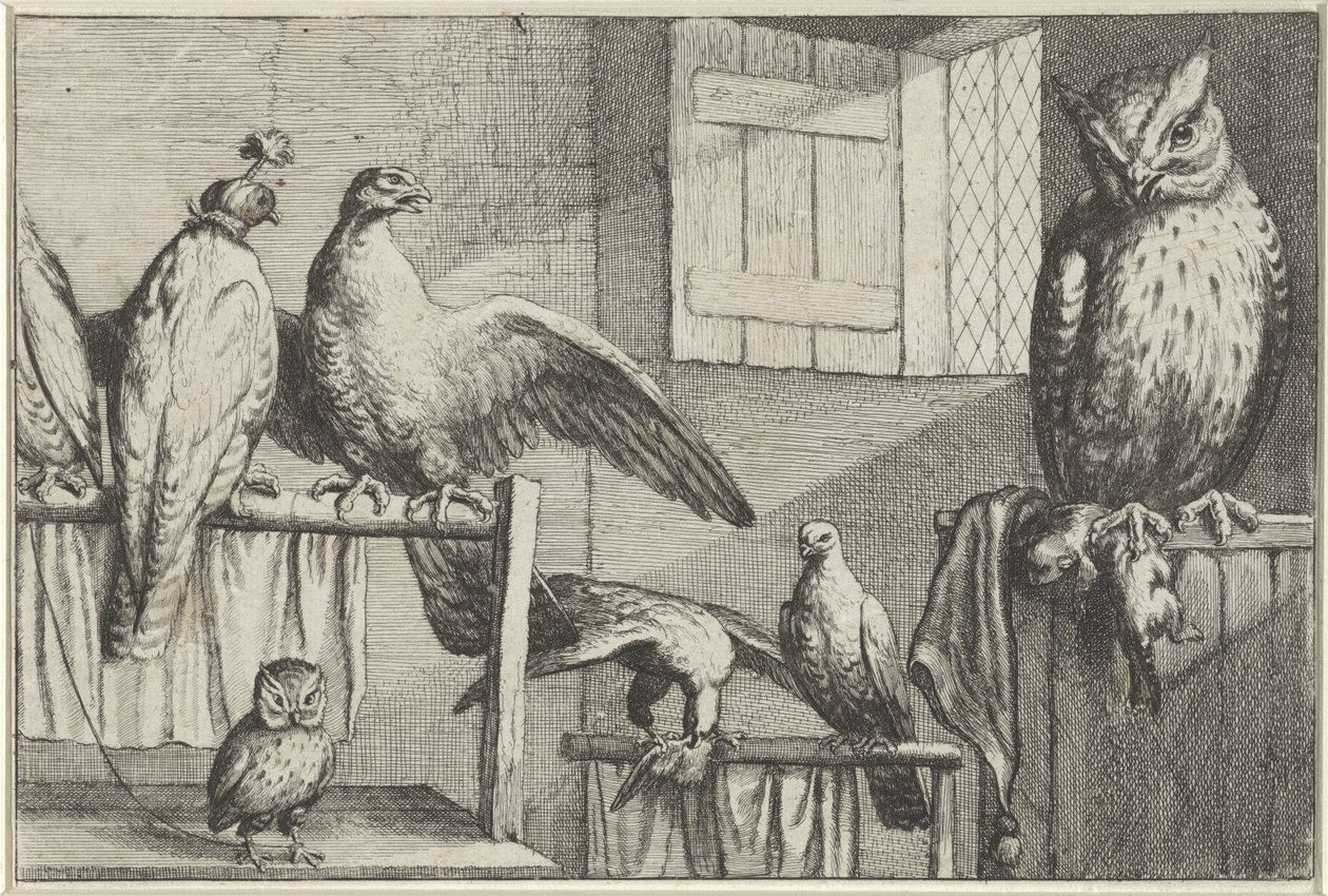 Valken en uilen in een schuur door Wenceslaus Hollar