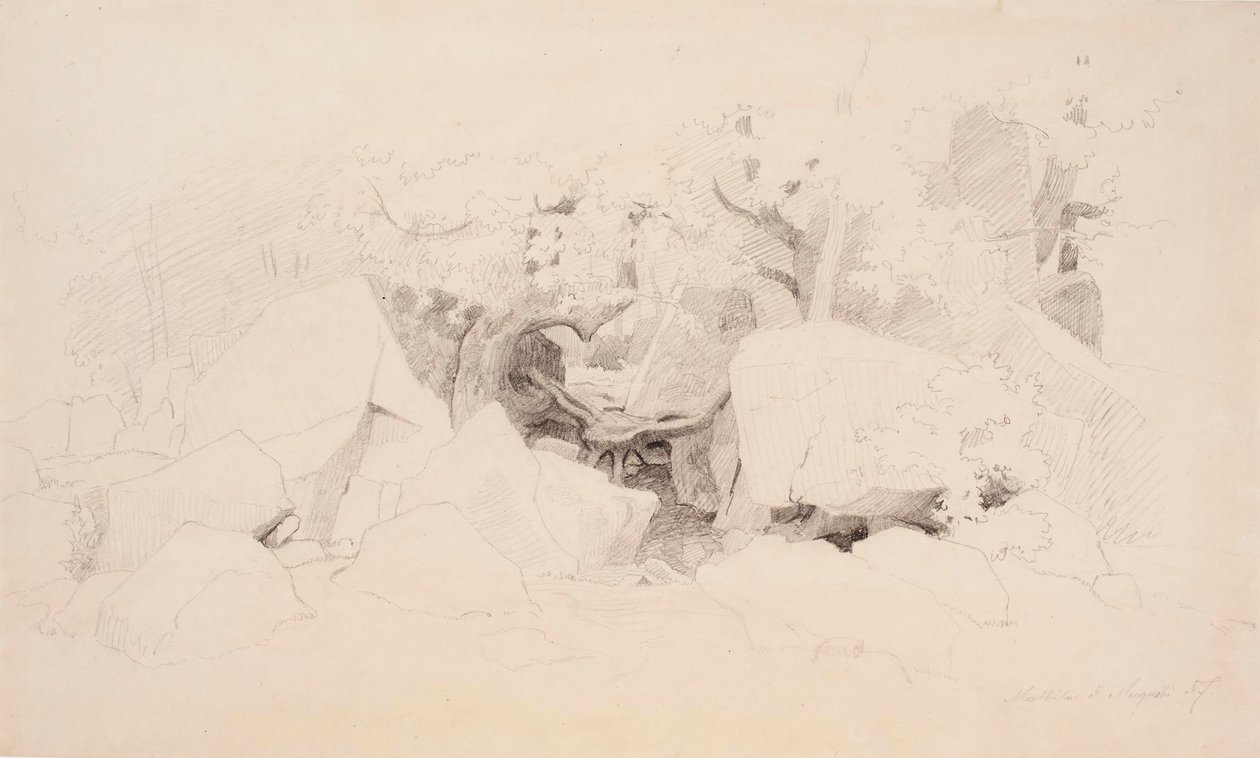 Steenslag in het bos door Werner Holmberg