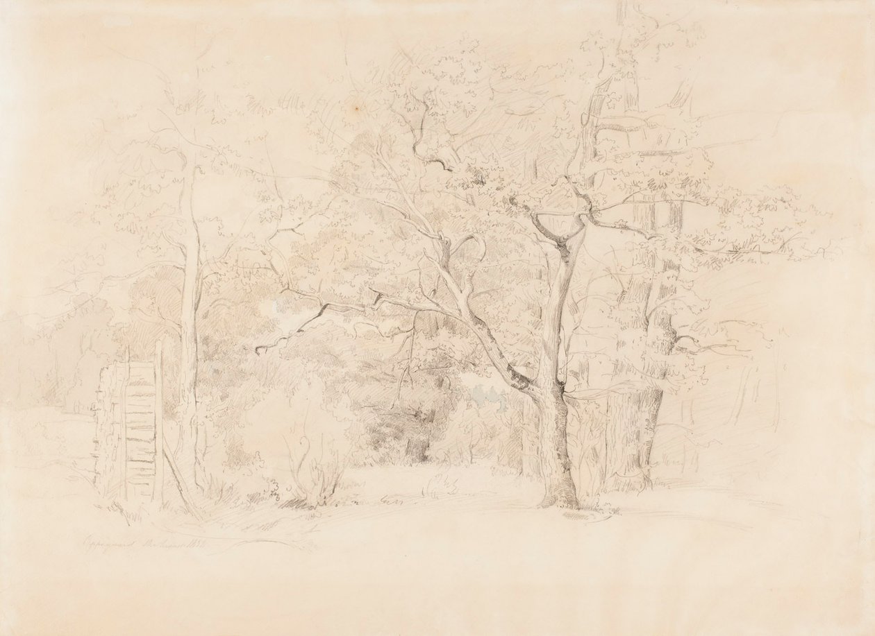 Landschap, bos door Werner Holmberg