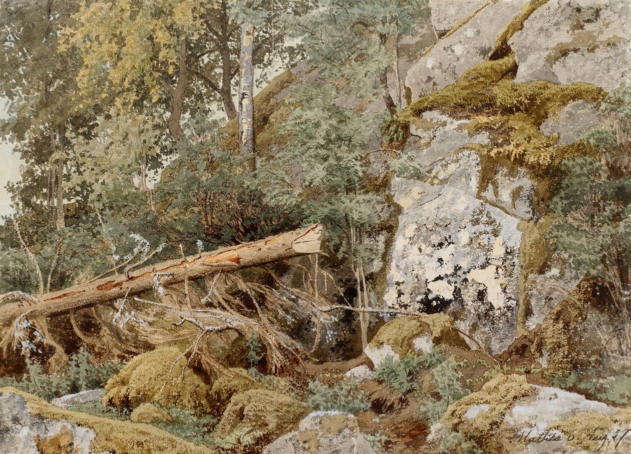Mosachtige rots in het bos door Werner Holmberg