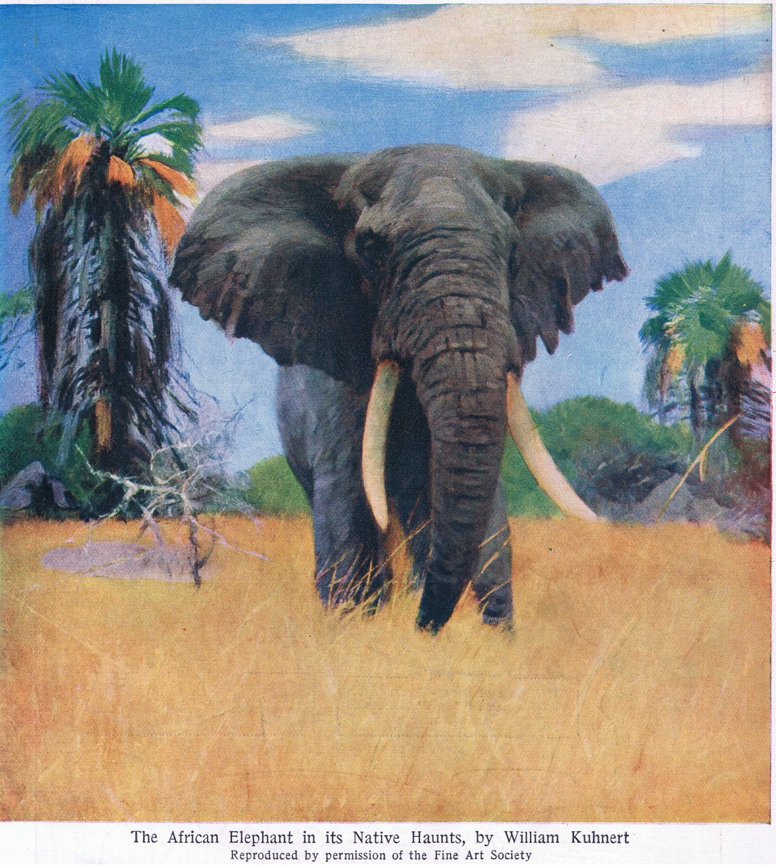 Afrikaanse olifant in zijn natuurlijke omgeving door Wilhelm Kuhnert