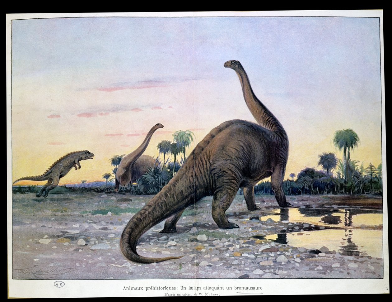 Prehistorische Dieren: een Laelaps die een Brontosaurus aanvalt door Wilhelm Kuhnert