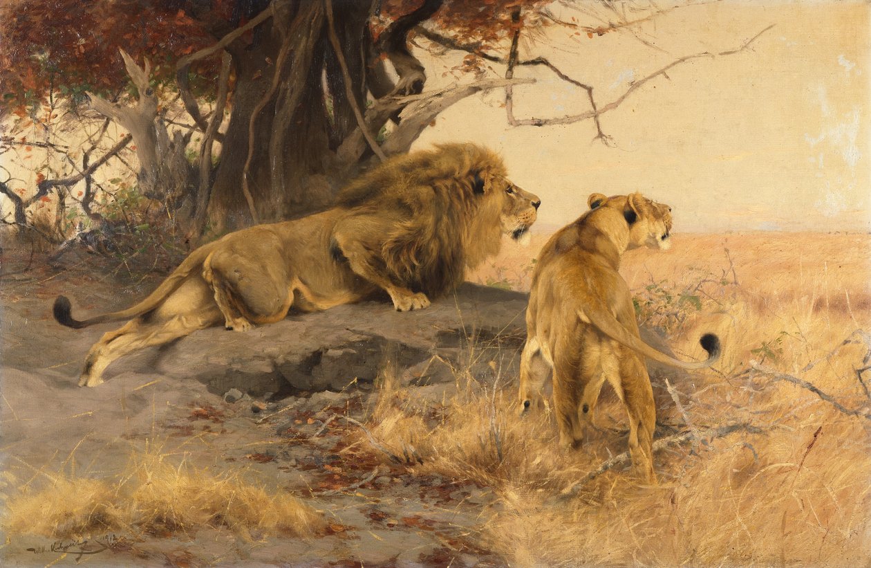 Een leeuw en een leeuwin in de savanne door Wilhelm Kuhnert