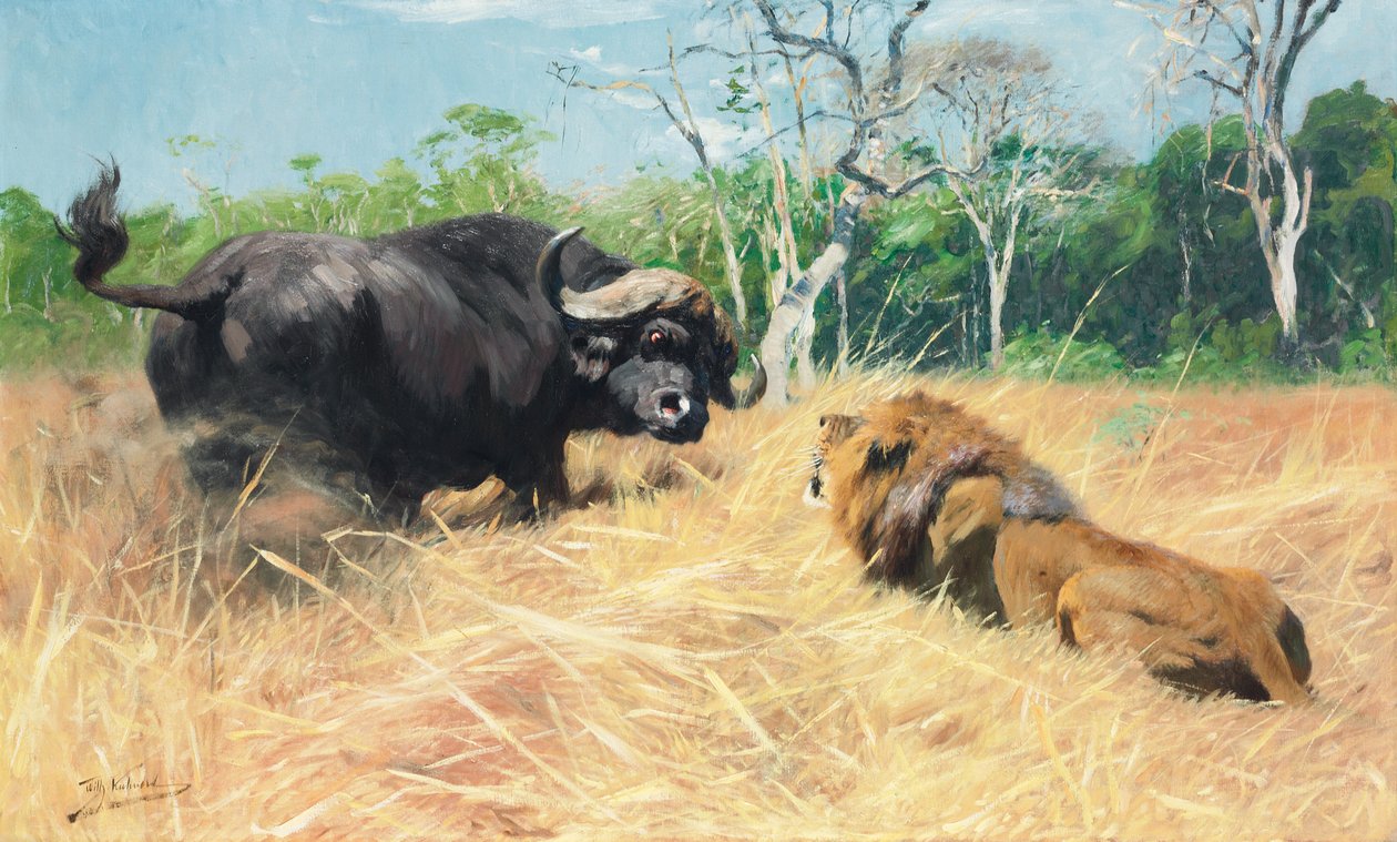 Buffel en leeuw voor het gevecht door Wilhelm Kuhnert
