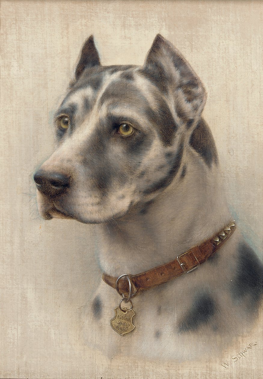 Het Hoofd van een Dobermann door Wilhelm Schwar