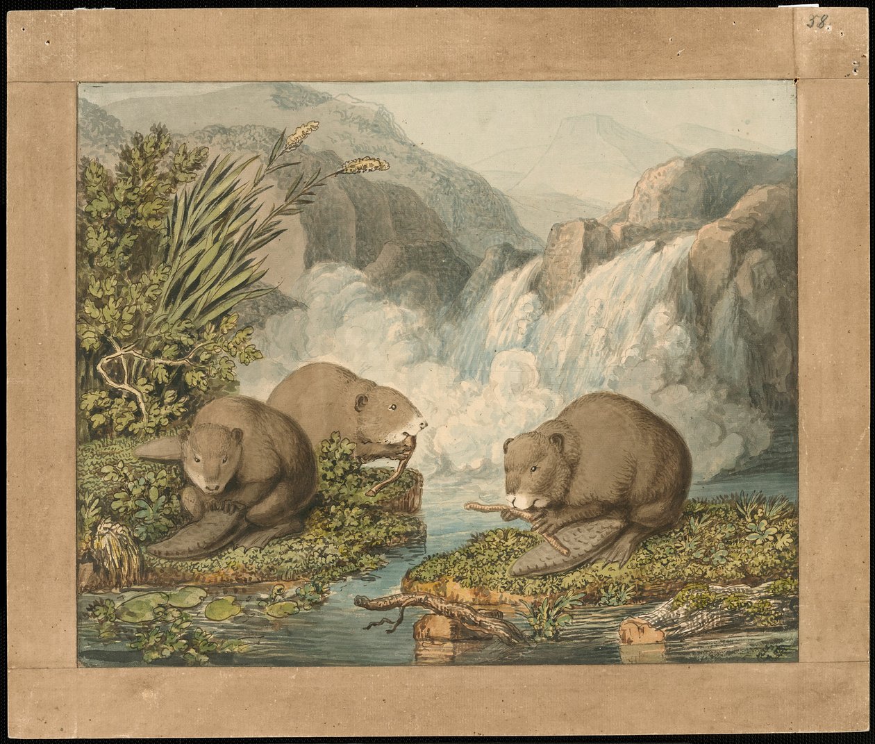 Drie bevers bouwen een dam door Wilhelm Tischbein